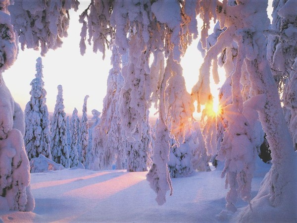 Fond d'écran " hiver "