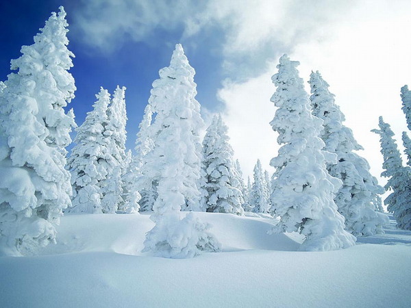 Fond d'écran " hiver "