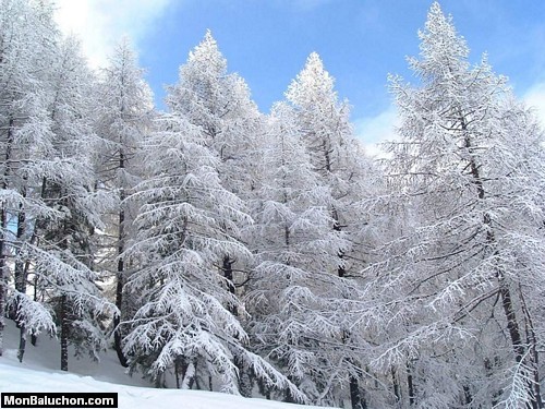 Fond d'écran " hiver "